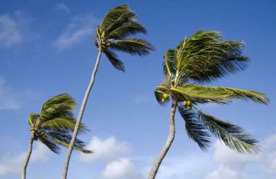 A cooler start to the week with some rain showers today in the Canary Islands