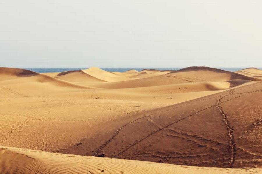 Clear and sunny skies across the Canary Islands this Thursday