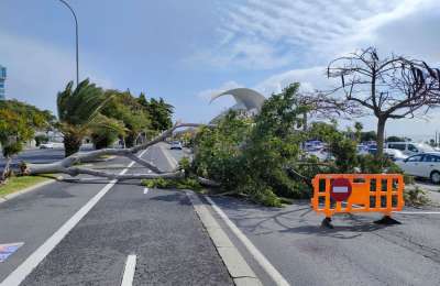 STORM CELIA: 90kmh winds, over 100 emergency incidents, and schools closed