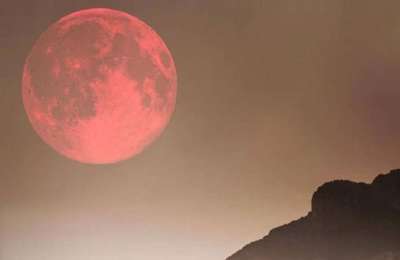 Did you see last night’s supermoon known as the ‘Easter Moon’?