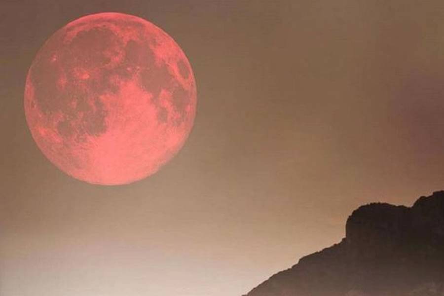 Did you see last night’s supermoon known as the ‘Easter Moon’?