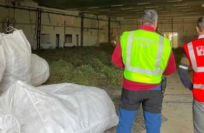 VIDEO: The Guardia Civil uncover ‘Europes largest’ cannabis plantation in Spain
