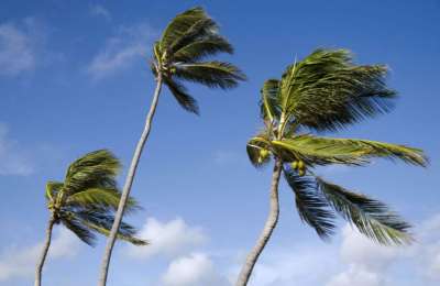Latest forecast shows the haze subsiding but the strong winds and rain returning