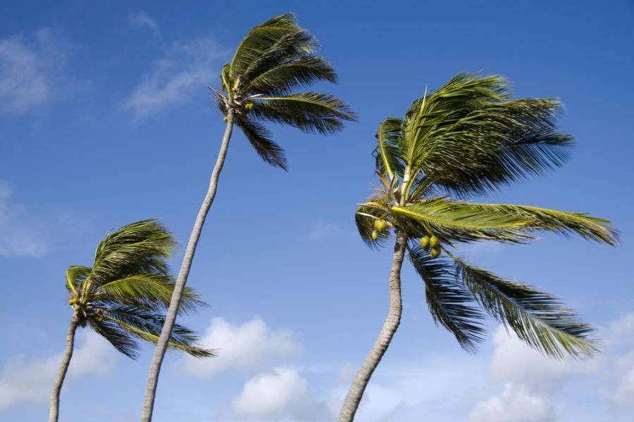 Latest forecast shows the haze subsiding but the strong winds and rain returning