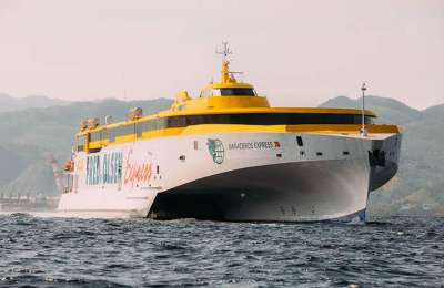 Fred Olsen categorically state that one of their fast ferries did not kill a whale