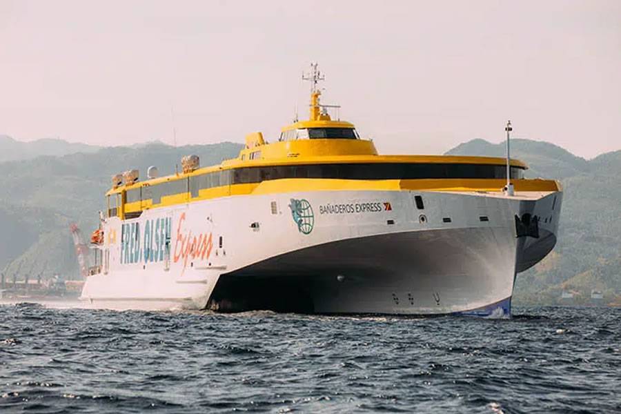 Fred Olsen categorically state that one of their fast ferries did not kill a whale