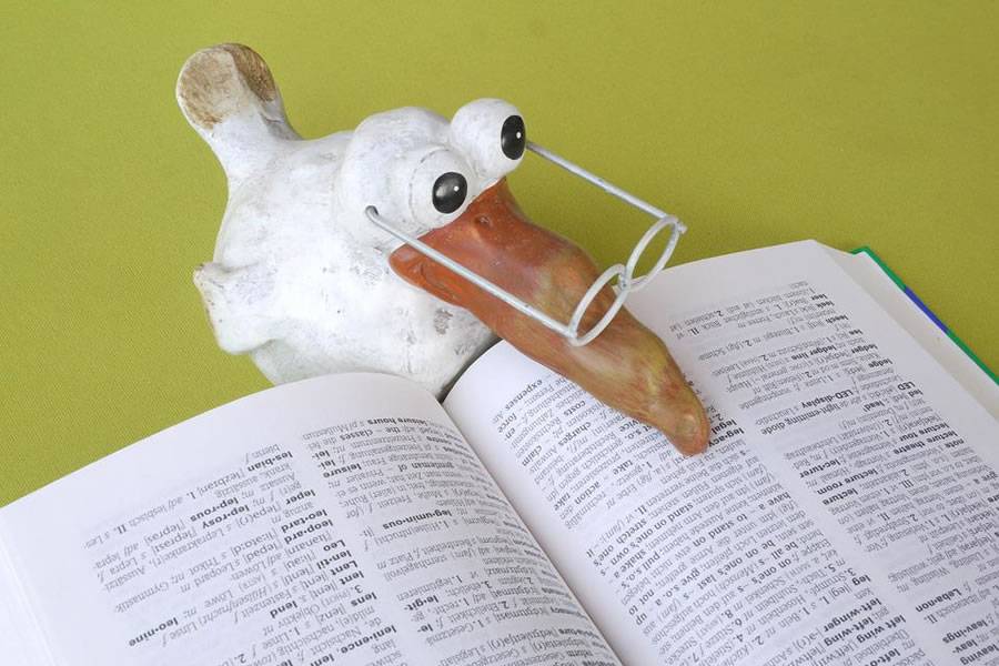 Consider these 4 important things if you want to start a translation agency