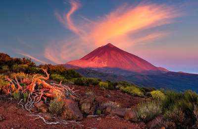 5 reasons to go for a holiday in Tenerife