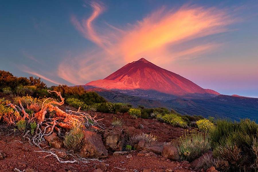 5 reasons to go for a holiday in Tenerife