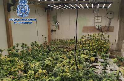 Man arrested with indoor marijuana plantation in a villa in Costa Adeje