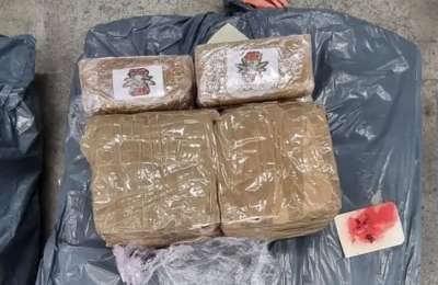 Two men arrested for bringing marijuana into Tenerife through the postal service
