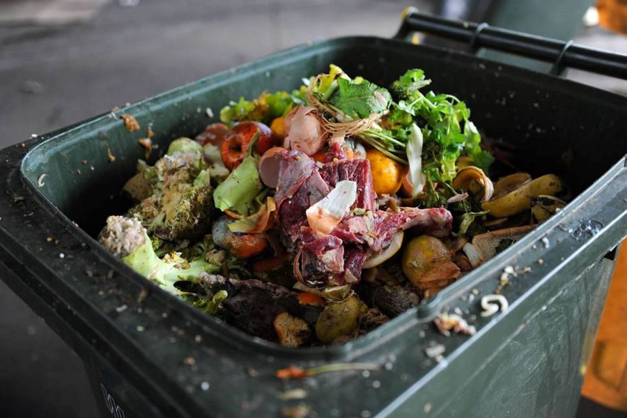 New fines of up to 60,000 euros for bars, restaurants, and supermarkets that waste food