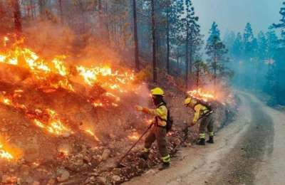 BREAKING: Gran Canaria is on pre-alert for the risk of forest fires