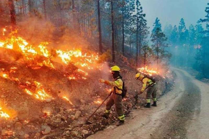BREAKING: Gran Canaria is on pre-alert for the risk of forest fires
