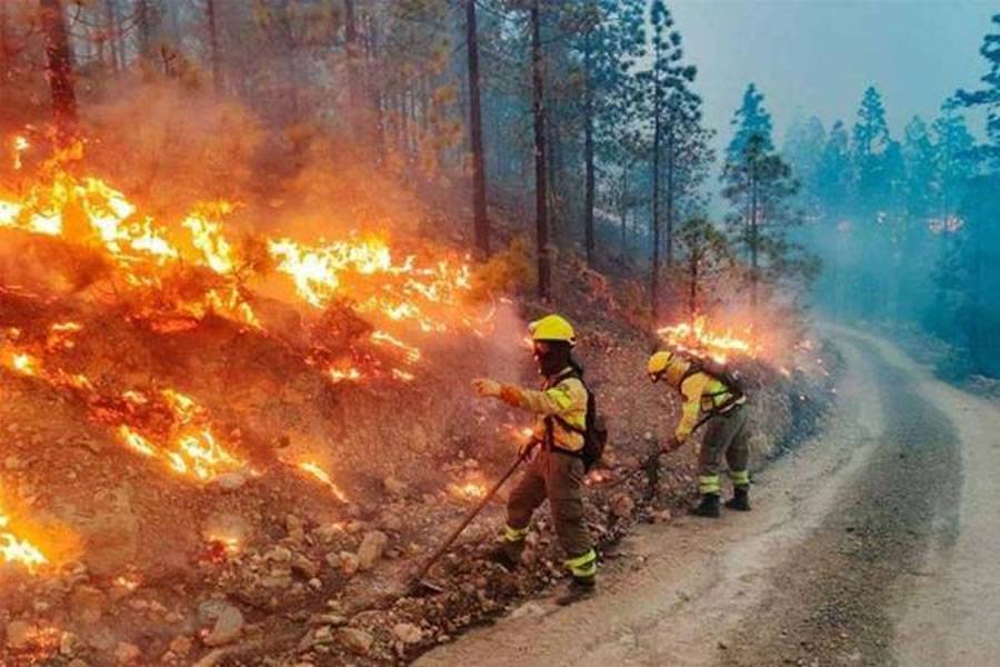 BREAKING: Gran Canaria is on pre-alert for the risk of forest fires
