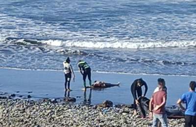 Dead body found floating a few metres from Canary Islands beach