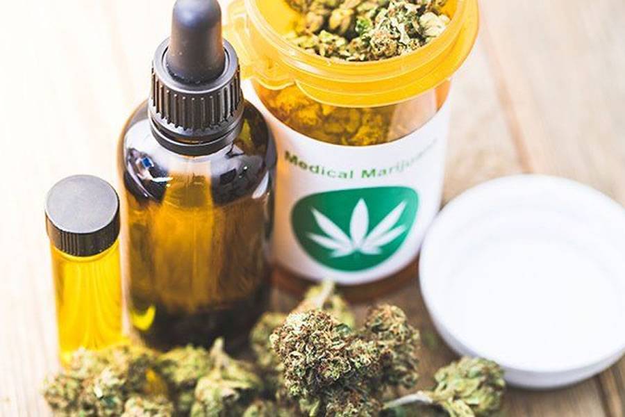 Spain takes a step closer to regulating the use of medicinal cannabis