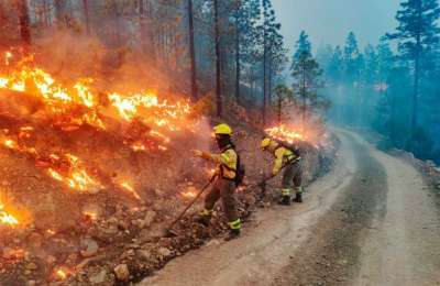 Five of the Canary Islands are put on maximum alert for risk of forest fires 