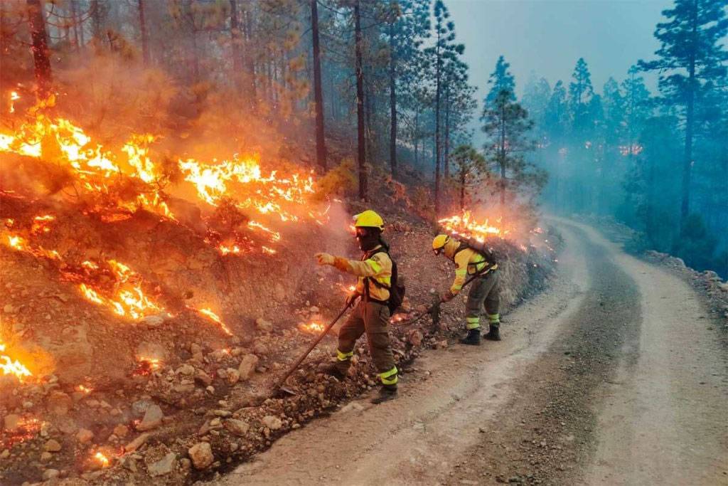 Five of the Canary Islands are put on maximum alert for risk of forest fires 