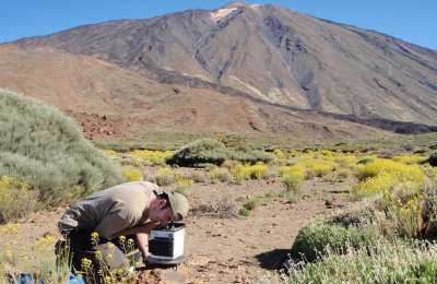 Involcan records another seismic swarm of small earthquakes under Teide