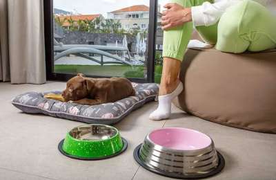 The MYND Adeje welcomes client’s pets to stay at the 4-star hotel
