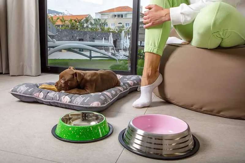 The MYND Adeje welcomes client’s pets to stay at the 4-star hotel