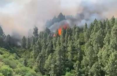 VIDEO: Forest fire in Tenerife, helicopters and fire brigade are fighting the blaze
