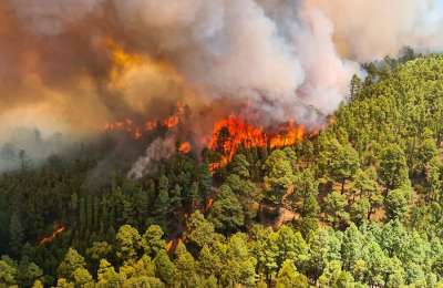 FIRE UPDATE: The forest fire is now on two fronts and affects 600,000m2