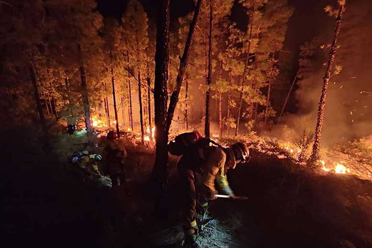 LATEST PHOTOS: Total area affected is now 500 hectares with an 11 km perimeter