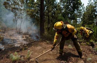 FOREST FIRE UPDATE: The fire is now heading to Teide and covers 1,000 hectares