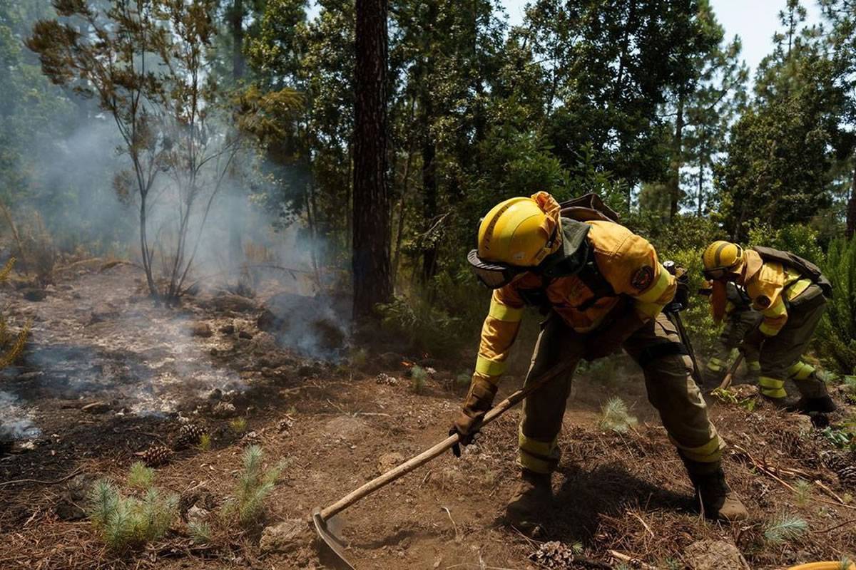 FOREST FIRE UPDATE: The fire is now heading to Teide and covers 1,000 hectares