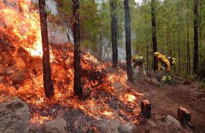 FOREST FIRE LATEST: A drop in the wind has helped firefighters today