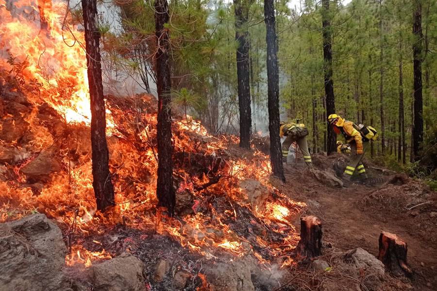 FOREST FIRE LATEST: A drop in the wind has helped firefighters today