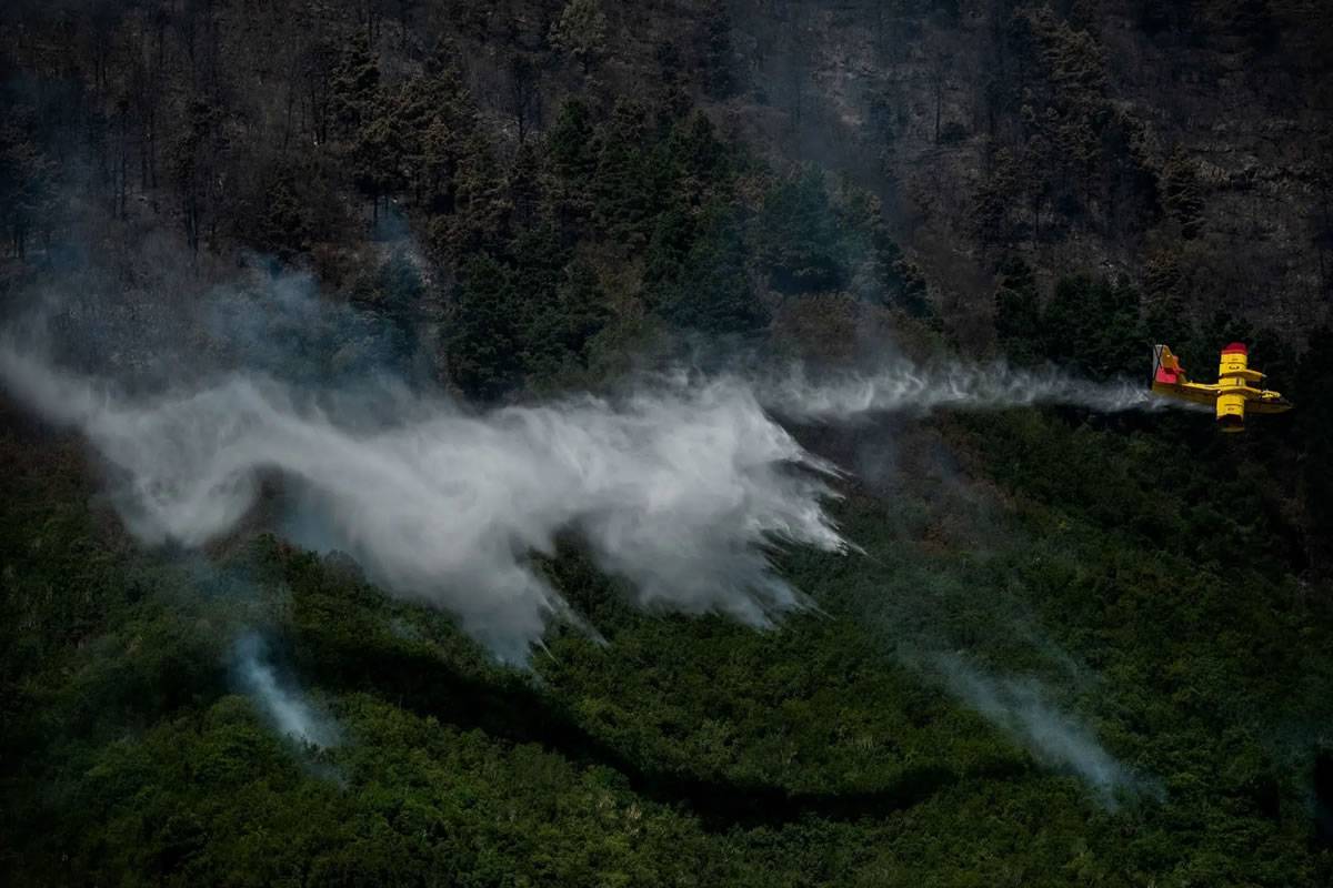 The Tenerife fire could be reduced to level 1 today, although it is still not controlled