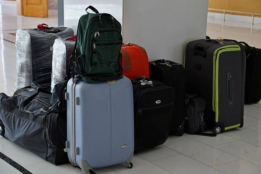 Tourist has suitcases robbed outside a hotel as she popped into reception