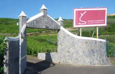 A Tenerife vineyard is listed among the 100 Best Wineries in the World