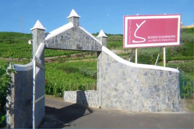 A Tenerife vineyard is listed among the 100 Best Wineries in the World