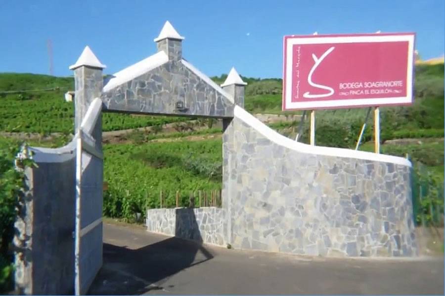 A Tenerife vineyard is listed among the 100 Best Wineries in the World