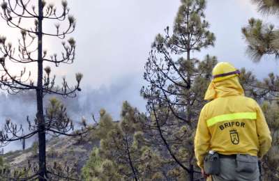 Firefighters contain outbreak of forest fire in the south of Tenerife before it spreads