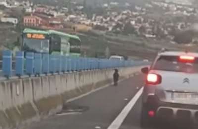 A goat is spotted going for a walk on the motorway in Tenerife