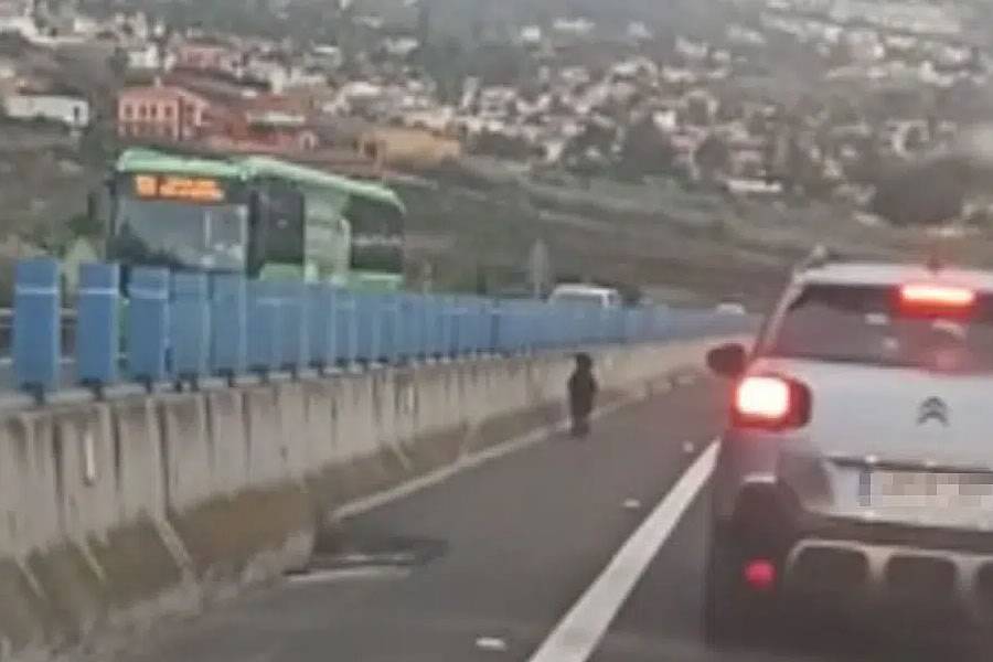 A goat is spotted going for a walk on the motorway in Tenerife A goat is spotted going for a walk on the motorway in Tenerife