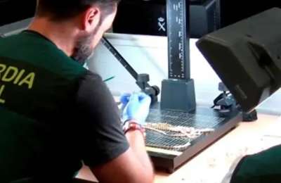 Man arrested for stealing jewellery he then put for sale in a shop in Arona