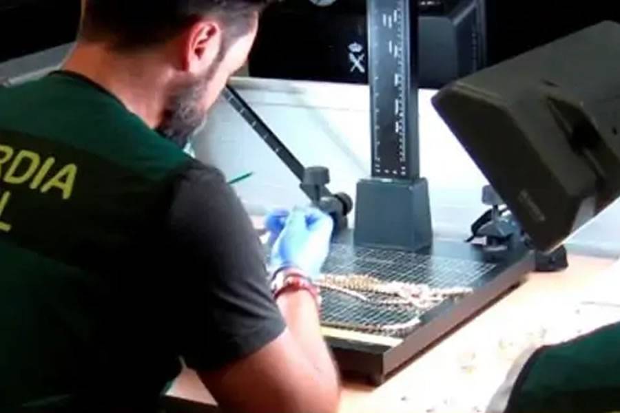 Man arrested for stealing jewellery he then put for sale in a shop in Arona Man arrested for stealing jewellery he then put for sale in a shop in Arona