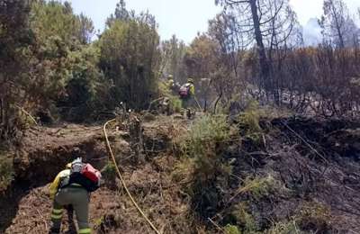 The Cabildo allocates 4.5 million for the restoration of the area affected by the forest fire