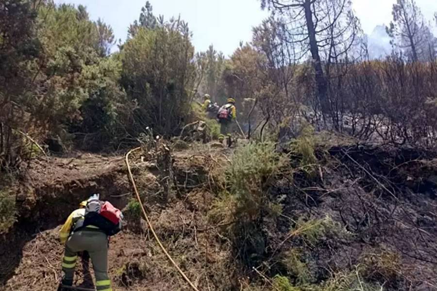 The Cabildo allocates 4.5 million for the restoration of the area affected by the forest fire