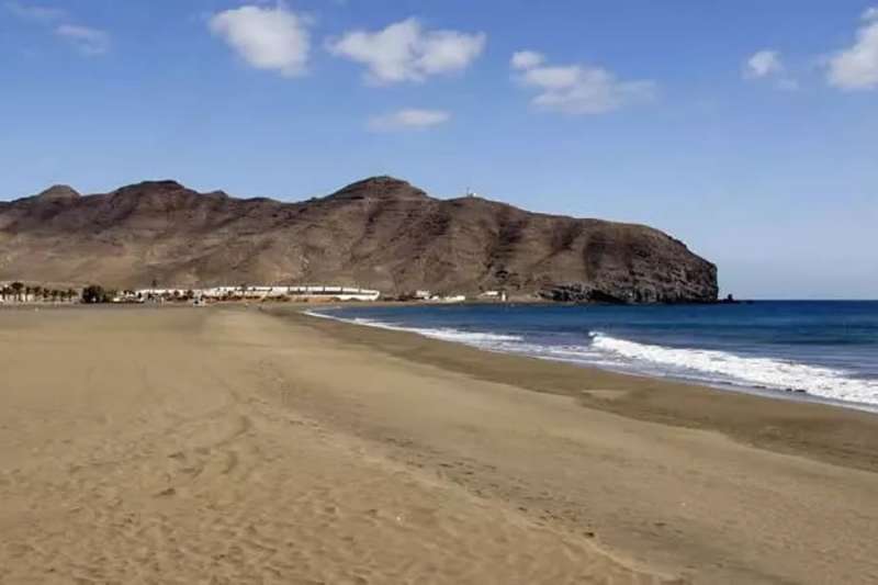 Another beach is closed due to suspected microalgae in the water
