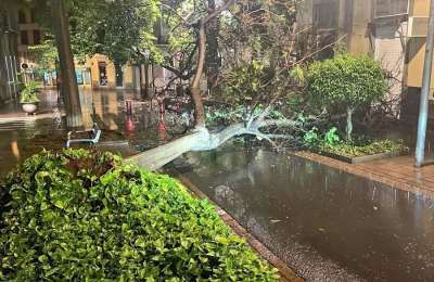 Fallen trees, floods, flight cancellations... here are photos and videos of Hermine