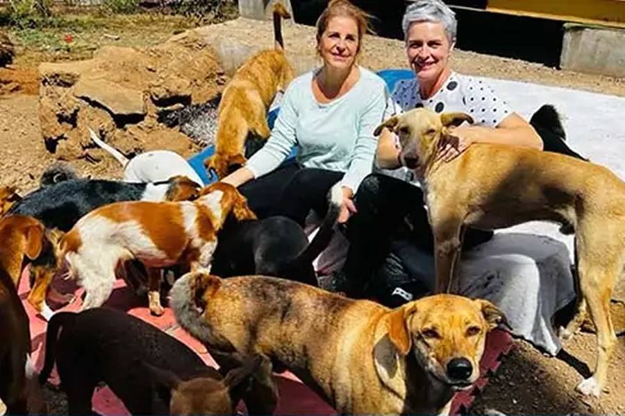 HiperDino donates 9,000kg of food to animal shelters in the Canary Islands