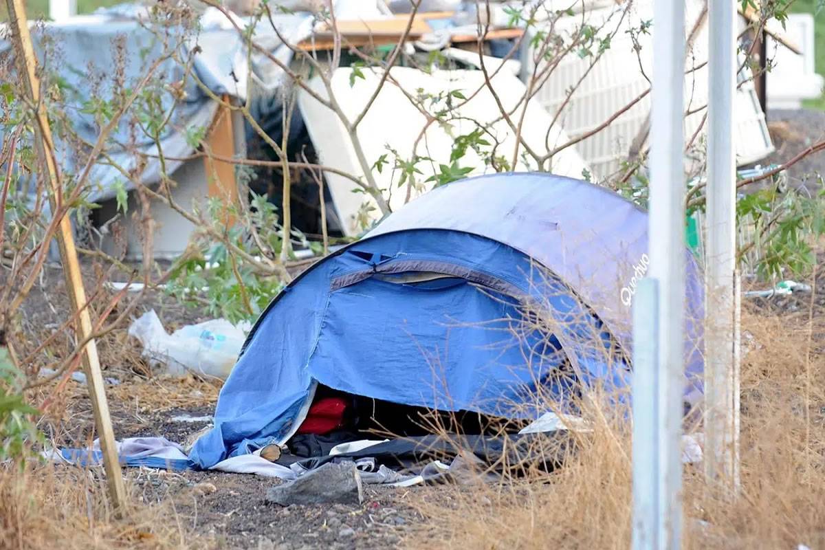 The Cabildo wants an action plan for the 2,700 homeless people in Tenerife The Cabildo wants an action plan for the 2,700 homeless people in Tenerife