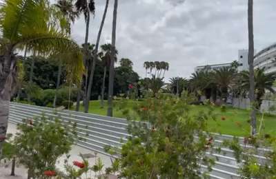 Petition against the car park. Adeje residents want your help to save the park.